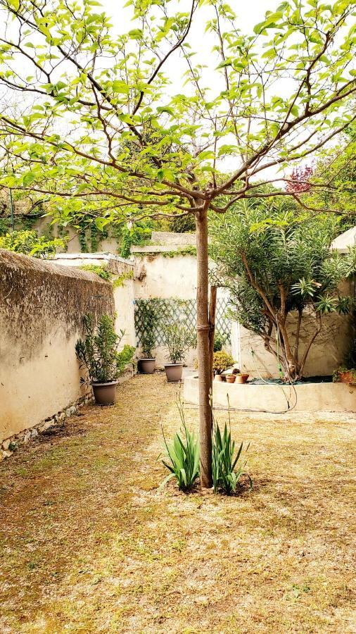 Appartement Au Coeur De Cassis Avec Jardin Exterior photo